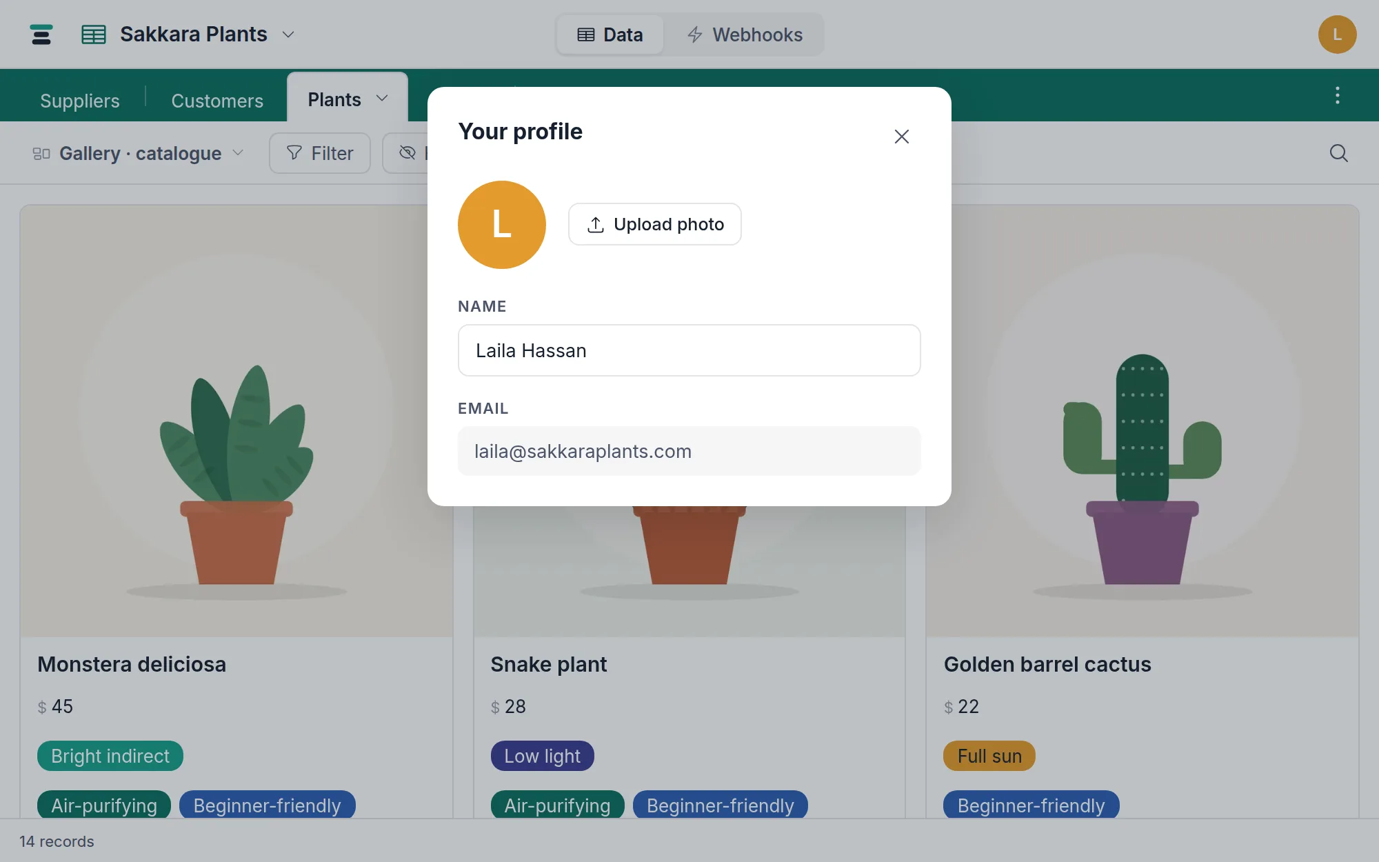 The Your profile panel: photo with upload and remove controls, the name field, and the read-only email.